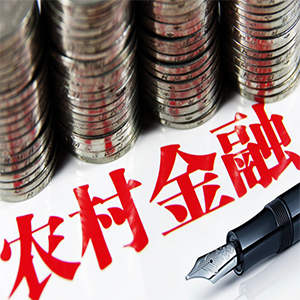 普洱助贷服务农户贷